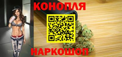 прущие крисы Будённовск
