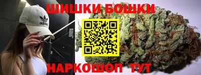 прущие крисы Будённовск