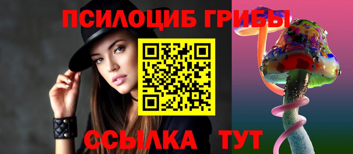 Галлюциногенные грибы Psilocybe Химки