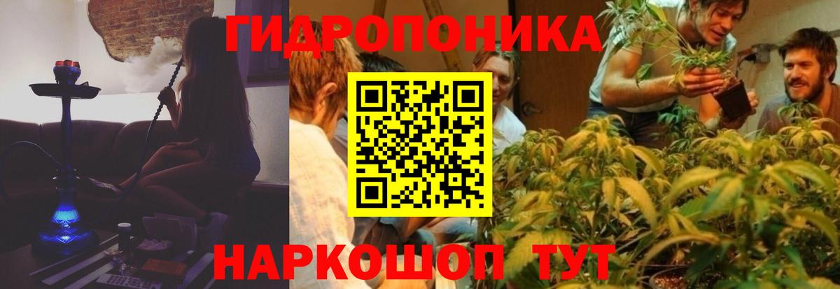 Марихуана Bruce Banner  Вход с VPN  МАРИХУАНА ГИДРОПОН  Канабис White Widow  Химки  Конопля план 